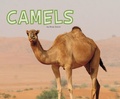 Cover: Camels - Raintree Publishers