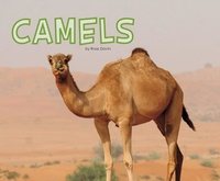 Enlarge image Cover: Camels - Raintree Publishers