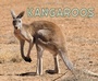 Cover: Kangaroos - Raintree Publishers