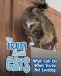 Cover: Truth about Cats - Raintree Publishers