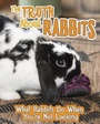 Cover: Truth about Rabbits - Raintree Publishers