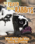 Cover: Truth about Rabbits - Raintree Publishers