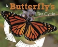 Cover: Butterfly's Life Cycle - Raintree Publishers