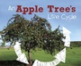 Cover: Apple Tree's Life Cycle - Raintree Publishers