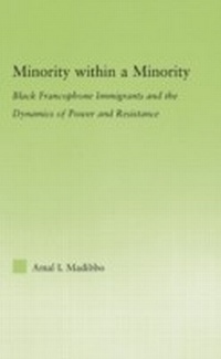 Bild vergrößern Bild: Minority within a Minority - Routledge