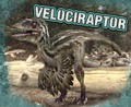Cover: Velociraptor - Raintree Publishers