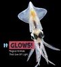 Cover: It Glows! - Raintree Publishers