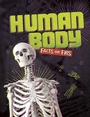 Cover: Human Body Facts or Fibs - Raintree Publishers