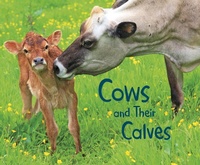 Enlarge image Cover: Cows and Their Calves - Raintree Publishers