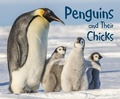 Cover: Penguins and Their Chicks - Raintree Publishers