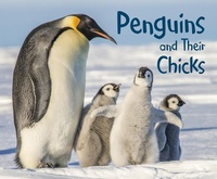 Enlarge image Cover: Penguins and Their Chicks - Raintree Publishers