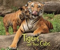 Cover: Tigers and Their Cubs - Raintree Publishers
