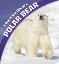 Cover: Day in the Life of a Polar Bear - Raintree Publishers