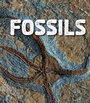 Cover: Fossils - Raintree Publishers