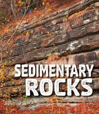 Enlarge image Cover: Sedimentary Rocks - Raintree Publishers