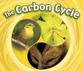 Cover: Carbon Cycle - Raintree Publishers