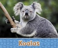 Cover: Koalas - Raintree Publishers