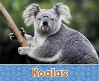 Enlarge image Cover: Koalas - Raintree Publishers