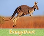Cover: Kangaroos - Raintree Publishers