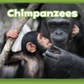 Cover: Chimpanzees - Raintree Publishers
