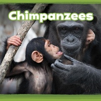 Enlarge image Cover: Chimpanzees - Raintree Publishers
