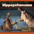 Cover: Hippopotamuses - Raintree Publishers
