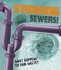 Cover: Stinking Sewers! - Raintree Publishers