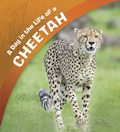 Cover: Day in the Life of a Cheetah - Raintree Publishers