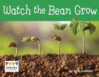 Enlarge image Cover: Watch the Bean Grow - Raintree Publishers