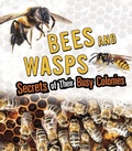 Cover: Bees and Wasps - Raintree Publishers
