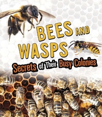 Enlarge image Cover: Bees and Wasps - Raintree Publishers