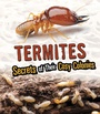 Cover: Termites - Raintree Publishers