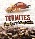 Cover: Termites - Raintree Publishers