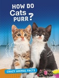Cover: How Do Cats Purr? - Raintree Publishers