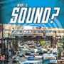 Cover: What Is Sound? - Raintree Publishers