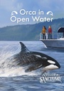 Cover: Orca in Open Water - Raintree Publishers