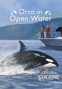 Enlarge image Cover: Orca in Open Water - Raintree Publishers
