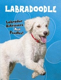 Cover: Labradoodle - Raintree Publishers