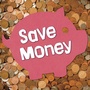 Cover: Save Money - Raintree Publishers