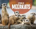 Cover: Mob of Meerkats - Raintree Publishers