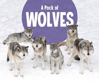 Enlarge image Cover: Pack of Wolves - Raintree Publishers