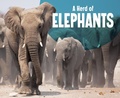 Cover: Herd of Elephants - Raintree Publishers