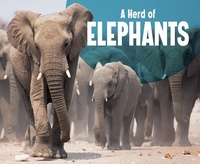 Enlarge image Cover: Herd of Elephants - Raintree Publishers