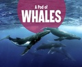 Cover: Pod of Whales - Raintree Publishers