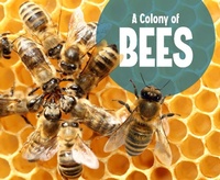 Enlarge image Cover: Colony of Bees - Raintree Publishers