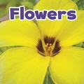 Cover: Flowers - Raintree Publishers
