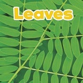 Cover: Leaves - Raintree Publishers