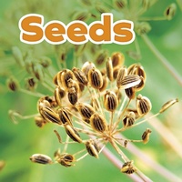Enlarge image Cover: Seeds - Raintree Publishers