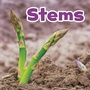 Cover: Stems - Raintree Publishers
