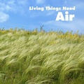 Cover: Living Things Need Air - Raintree Publishers